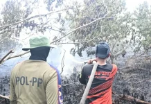 Karhutla Merambah Permukiman di Lingkar Luar Mahir Mahar