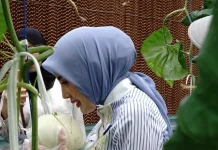 Aisyah Thisia Agustiar Sabran Dorong Ketahanan Pangan Keluarga