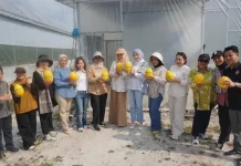 Smart Greenhouse Dorong Modernisasi Hortikultura Kalteng