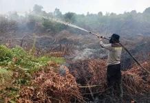 Karhutla Jalan Damang Gustaf Erang Tak Padam