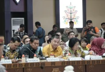 Antisipasi Karhutla Kalteng, Pemkab Kapuas Ikut Rakor Bersama BNPB