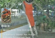 Resahkan Warga Sidorejo, Damkar Kobar Evakuasi Sarang Lebah Madu
