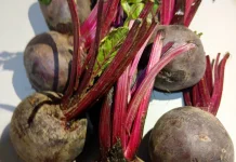 Buah Bit, Umbi Berwarna Merah yang Kaya Nutrisi dan Bermanfaat bagi Kesehatan
