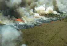 Kabut Asap Karhutla Kalteng Ganggu Kesehatan dan Aktivitas Masyarakat