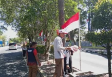 Sambut HUT ke-81 RI, Kesbangpol Kobar Pasang Bendera di Jalan Protokol