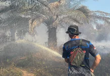 Tim Pengendalian Dishut Kalteng Padamkan Kebakaran Hutan dan Lahan di Katingan