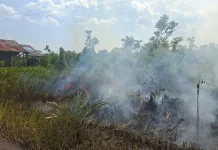 Operasi Modifikasi Cuaca di Kalteng Dilanjutkan Akhir September