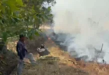 Titik Api Baru Karhutla Banyak Bermunculan di Palangka Raya