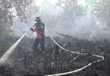 Musim Hujan Diperkirakan Akhir September 2026