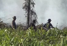 Karhutla Tumbang Nusa Belum Padam, Petugas Cegah Api Dekati Jalan