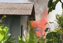 Karhutla Hanguskan Rumah Kosong Jalan Kalibata