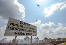 BNPB Tambah Helikopter Water Boombing Padamkan Karhutla Kalteng
