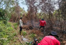 Polsek Sabangau Padamkan Karhutla Jalan Mahir Mahar