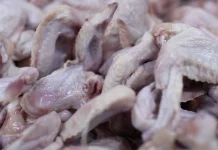 Pemasok MBG Pastikan Kualitas dan Higienitas Bahan Pangan