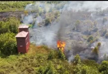 Karhutla Dekati Permukiman Warga di Palangka Saya, Satu Rumah Terbakar