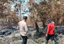Polsek Bukit Batu Bersama MPA BOS Temukan 10 Hektare Lahan Terbakar