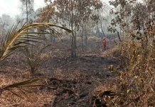 Kebakaran Lahan Gambut di Jalan DPR Kumai Masih Ditangani Petugas Gabungan