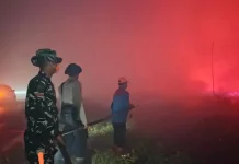 Keterbatasan Personel, Pemkab Kotim Libatkan ASN Padamkan Karhutla