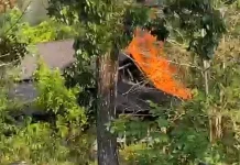 Api Berkobar Hanguskan Eks Kantor Dayak Post, Padahal Bangunan Terbengkalai
