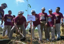 HKAN 2026, TN Sebangau Ikuti Penanaman Serentak Demi Pemulihan Ekosistem