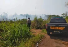 Titik Panas di Bukit Tunggal, Waspada Karhutla Meluas