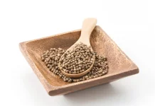 Biji Ketumbar, Kunci Aroma Sedap Berbagai Masakan