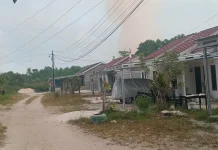 BPBD Palangka Raya Padamkan Karhutla agar Tidak Meluas ke Permukiman