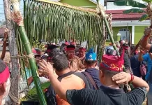 Tradisi Potong Pantan Suku Dayak Kalteng Masih Terjaga hingga Kini