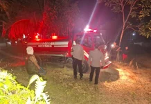 Bukit Tangkiling Terbakar, Upaya Pemadaman Karhutla Terus Dilakukan