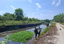 Cegah Genangan, Satgas SDA DPUPR Kobar Bersihkan Saluran Pengendali Banjir