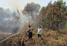 Dua Hektare Lahan Gambut di Langkai Terbakar, Polisi Kerahkan MPA-BPK Padamkan Api