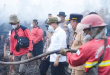 Gubernur Kalteng dan Menhut Tinjau Kebakaran Hutan, Lahan Petuk Katimpu