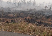 Menhut RI Apresiasi Penetapan 12 Tersangka Pembakar Hutan dan Lahan di Kalteng