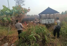 Polsek Pahandut Cek Lokasi Karhutla Viral di Sosmed