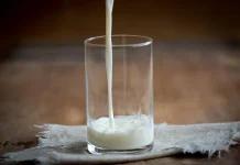 Hari Susu Nabati Sedunia, Dorong Minuman Sehat Berkelanjutan