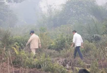 Presiden Prabowo Meninjau Penanganan Karhutla Area Kalimantan