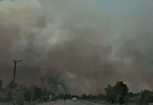 Waspada Kabut Asap Karhutla, Lindungi Diri dari Gangguan Pernapasan