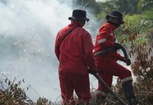 Kabut Asap Karhutla, Partikel Halus dan Gas Beracun Ancam Pernapasan