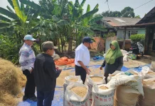 Pemkab Kapuas dan Kementan Tinjau Lokasi MRU hingga Petakan Lahan Potensial