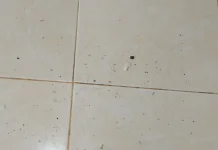 Abu Bekas Kebakaran Hutan dan Lahan Masuk ke Rumah Warga