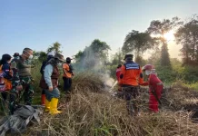 Bupati Kobar Tinjau Penanganan Karhutla di Tanjung Terantang dan Kumpai Batu Atas