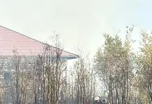 Pemanfaatan Lahan Terlantar Efektif Cegah Karhutla Meluas