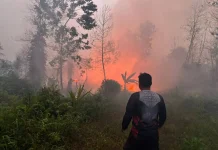 Karhutla Tidak Padam, Polresta Turut Berjibaku Padamkan Api