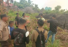 Terbakarnya Dasu Grill Berawal dari Karhutla