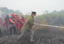 Bupati Barito Utara Turut Terlibat Pemadaman Karhutla Desa Trahean