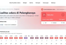 Mengenal Indeks AQI untuk Membaca Kualitas Udara