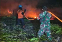 Lima Titik Karhutla di Lamandau Ditangani dalam Sehari oleh Tim Gabungan