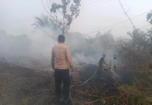 Tim Gabungan Padamkan Karhutla Sabangau