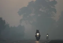 Asap Karhutla Berbahaya, Warga Diminta Batasi Aktivitas di Luar Ruangan