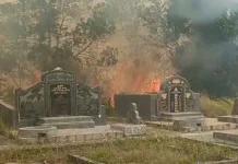 Terpantau 3.363 Titik Panas di Kalteng, BMKG Ingatkan Kualitas Udara Menurun